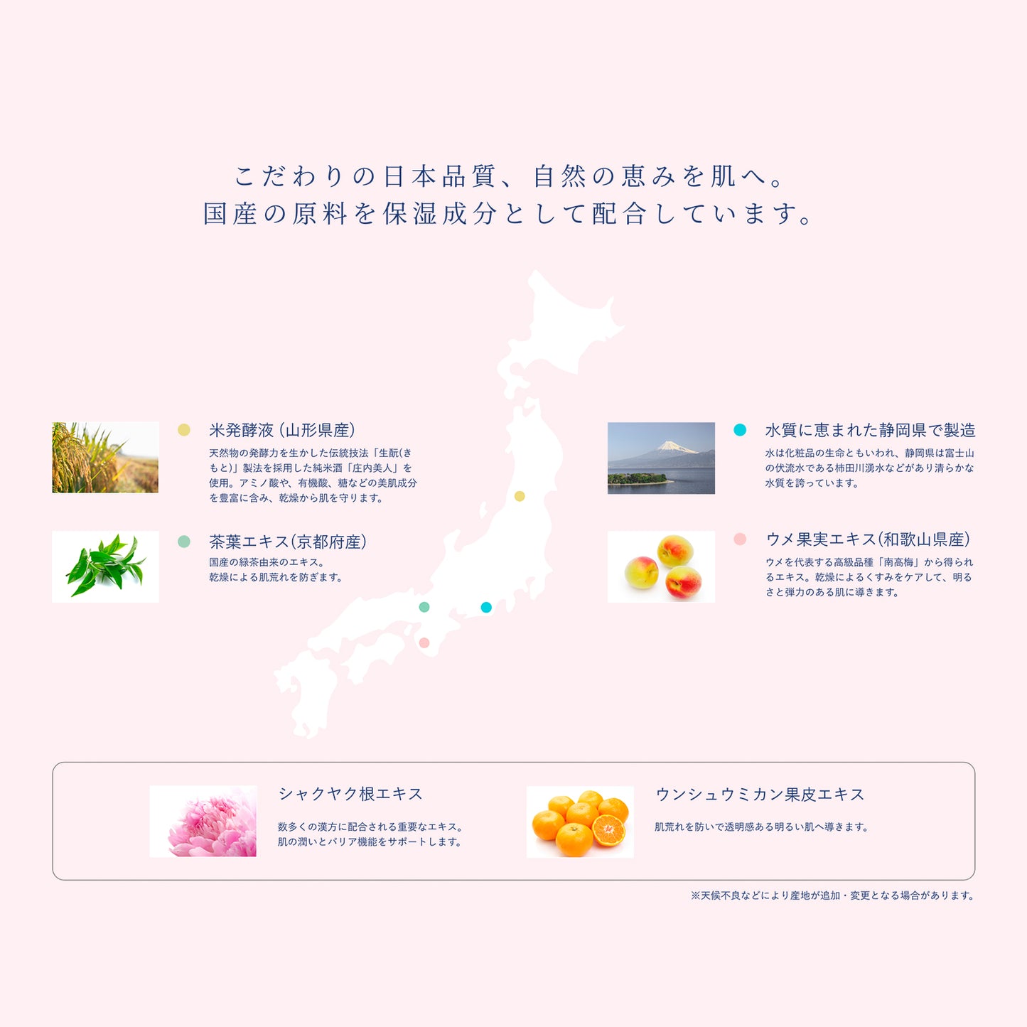 【出産準備に!】 MAMUA (マムア)オーガニック フェムケア ギフト2本セット(泡ボディウォッシュ 300mL+ マルチオイル 100 mL )